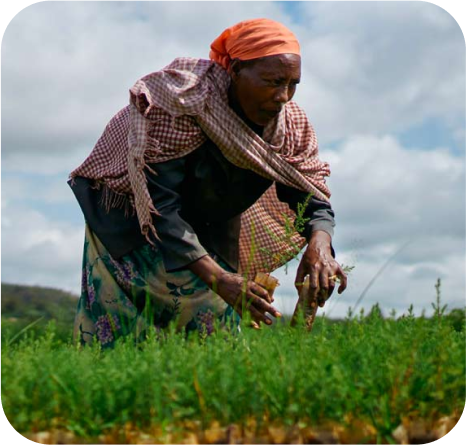 Professional team in modern office