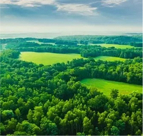 Professional team in modern office